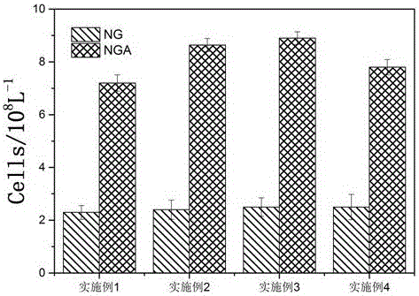 Acetylated naringin composition and medical application of composition in osteoblast proliferation