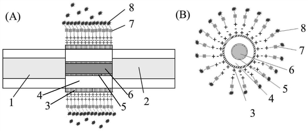 Biomolecular and temperature dual-parameter optical fiber sensor and its manufacturing method and application