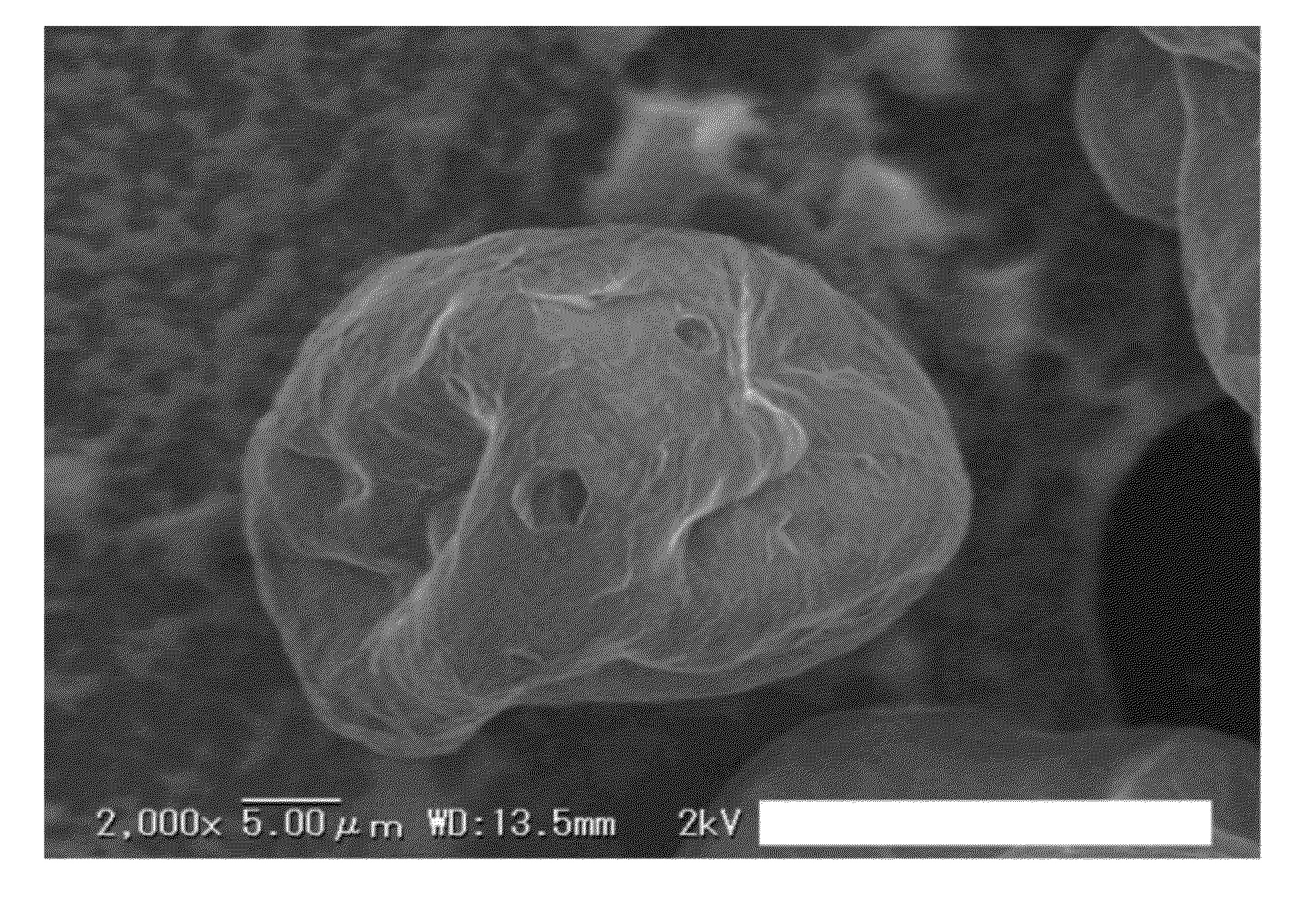 Powdery lipase preparation and use thereof