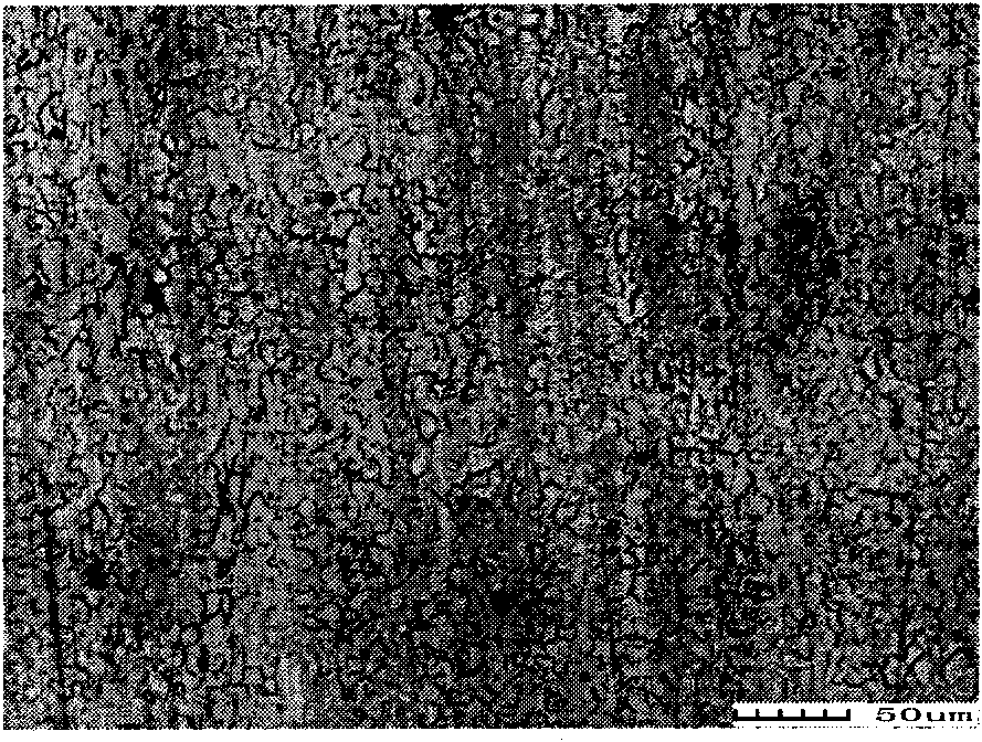 Hot rolling process of high-plasticity and low-anisotropy magnesium alloy and sheet thereof