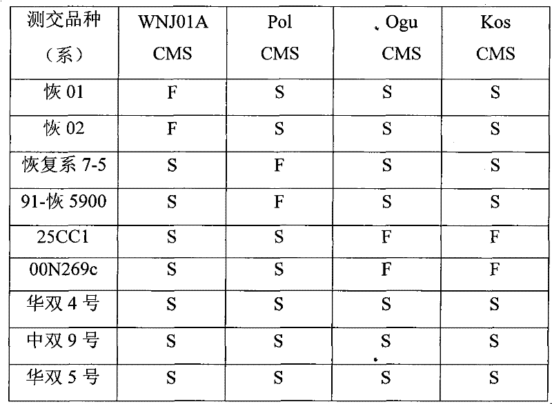 Method for breeding brassica napus and mustard cytoplasm male sterility restoring line