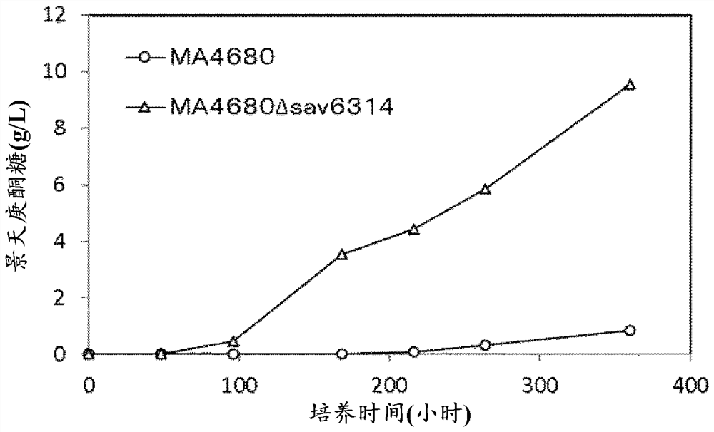 Method for producing sedoheptulose