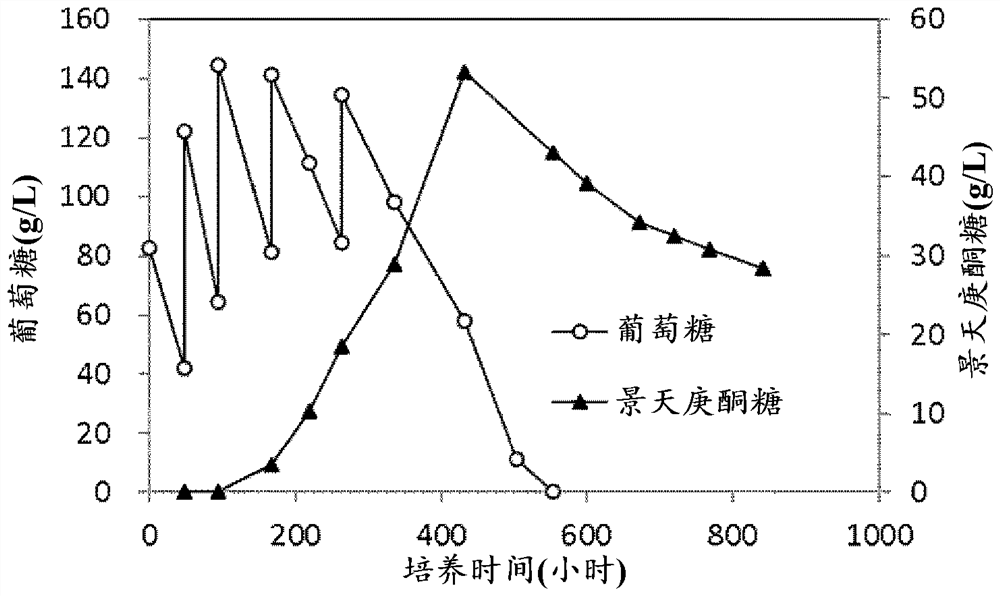 Method for producing sedoheptulose