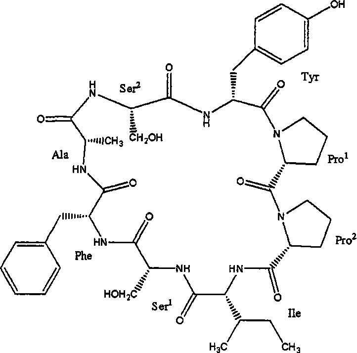 Cyclopeptide, preparation method and uses thereof