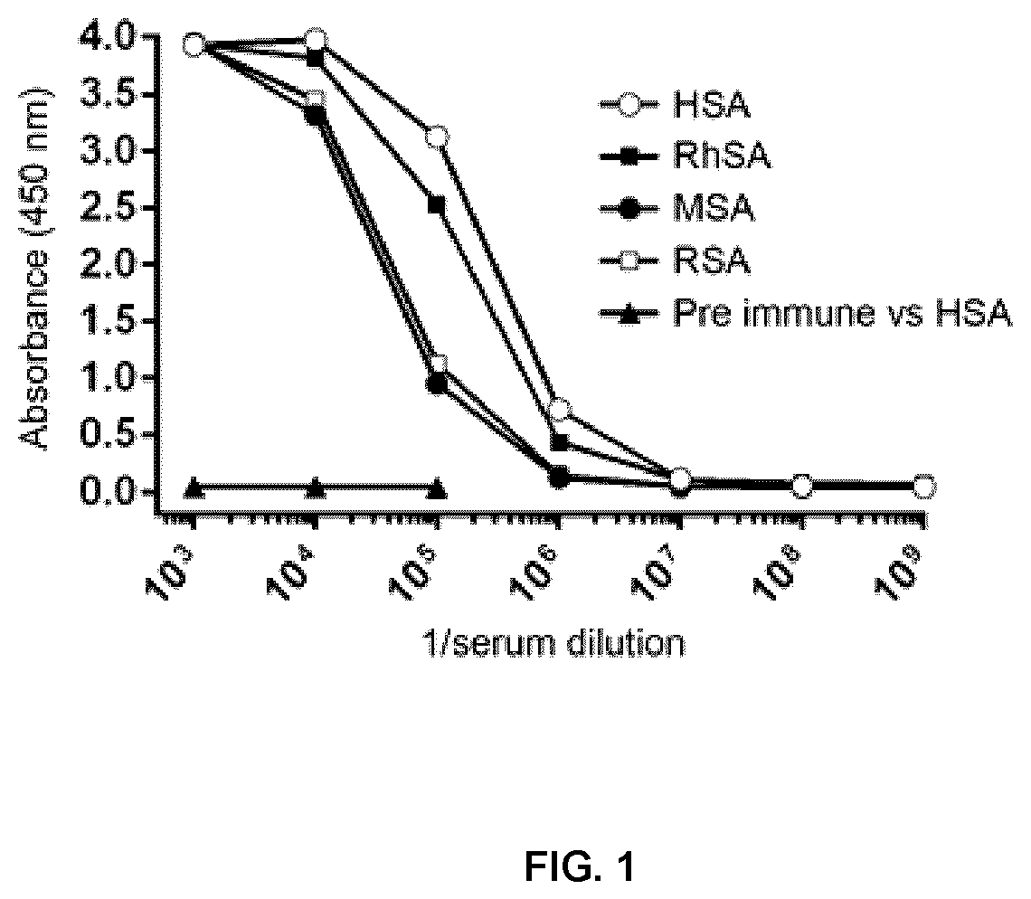 Serum albumin binding antibodies for tuneable half-life extension of biologics