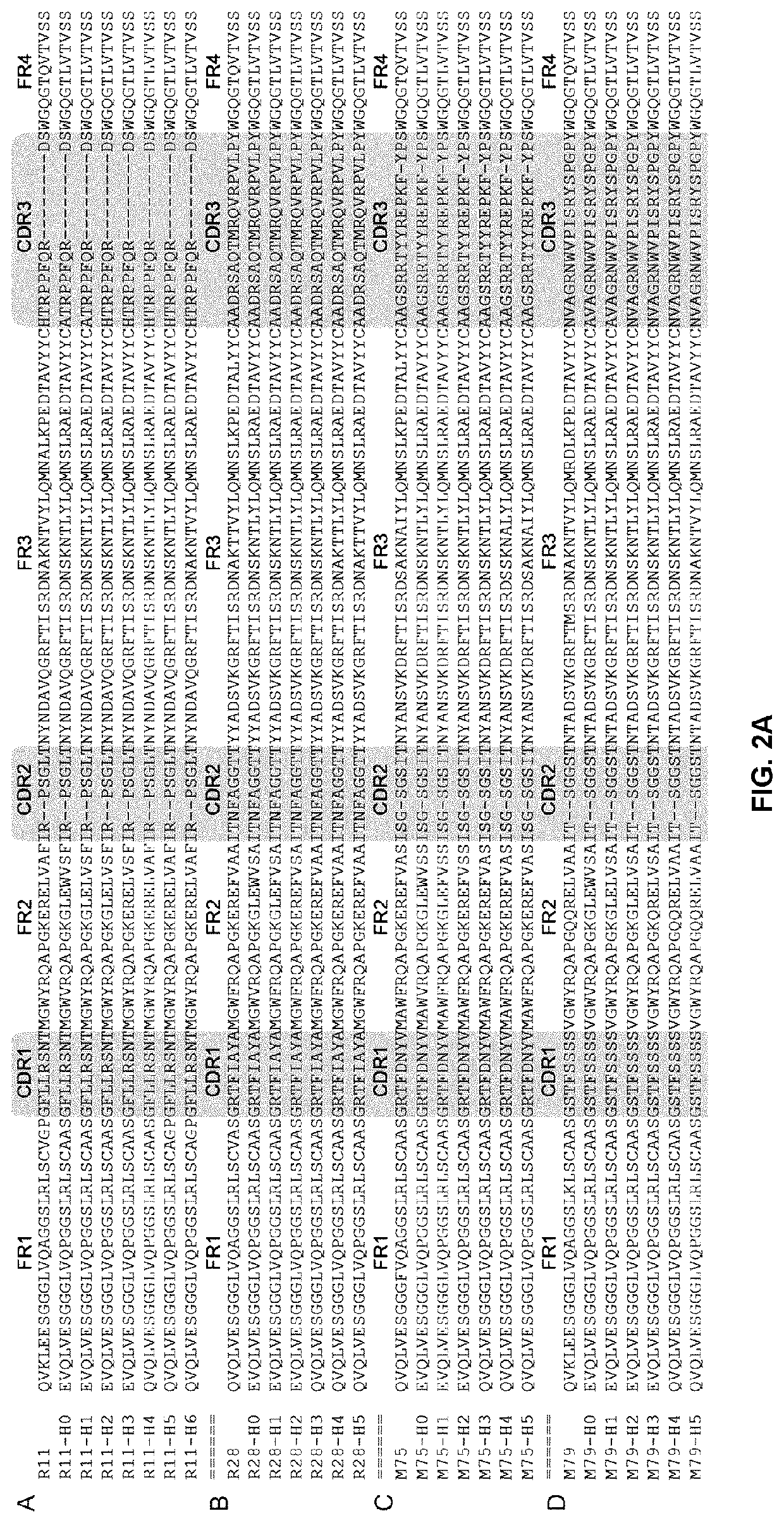 Serum albumin binding antibodies for tuneable half-life extension of biologics