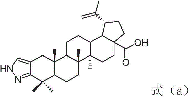 Betulinic acid-amino acid derivative, and preparation method and application thereof