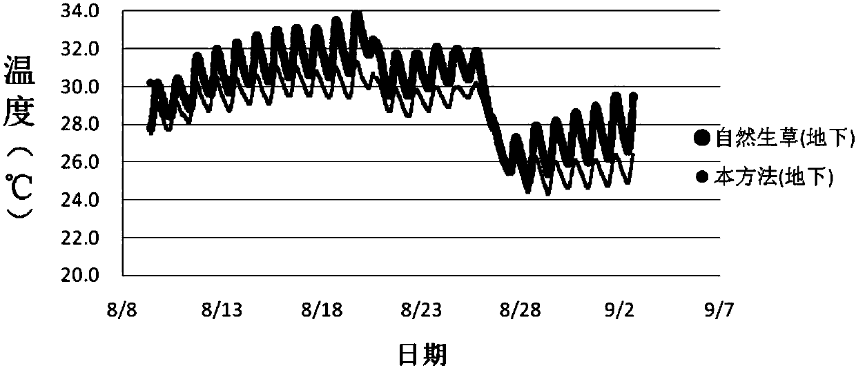 Method for managing grass in summer peach orchards