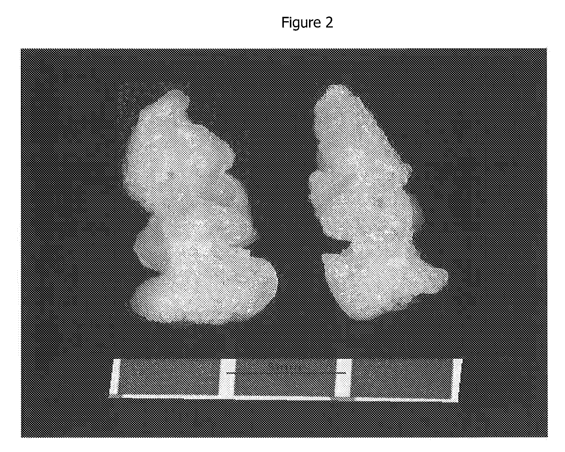 Extruded Protein Compositions