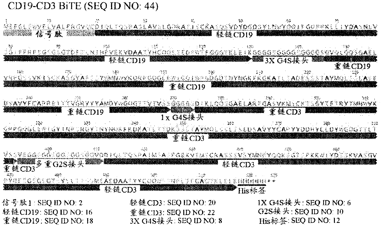 Pseudotyped oncolytic viral delivery of therapeutic polypeptides