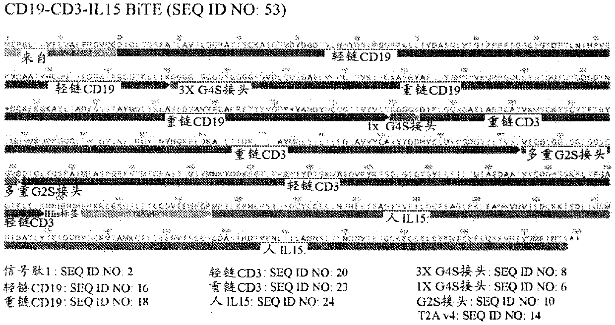 Pseudotyped oncolytic viral delivery of therapeutic polypeptides