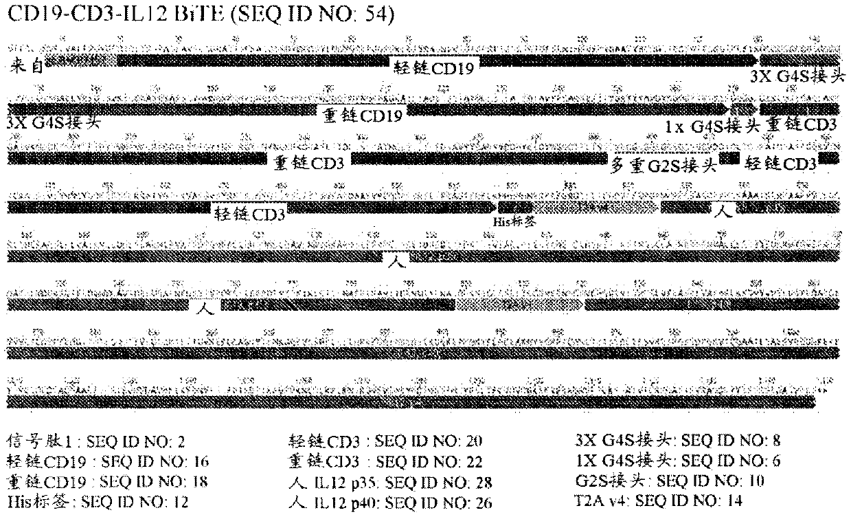 Pseudotyped oncolytic viral delivery of therapeutic polypeptides