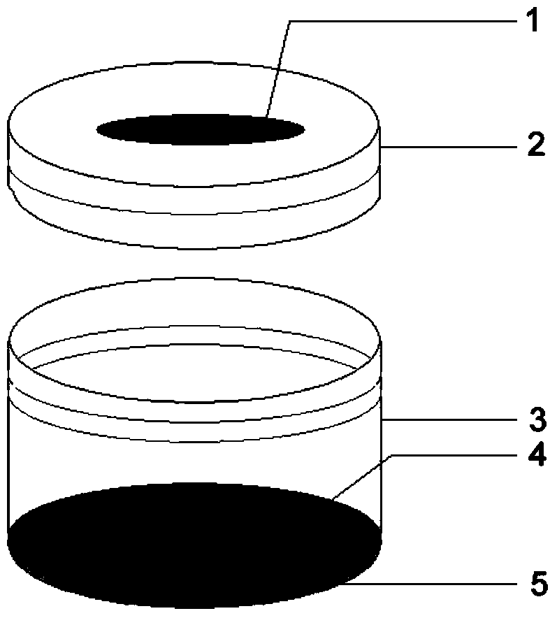 Method and device for propagating fruit flies by utilizing liquid culture medium