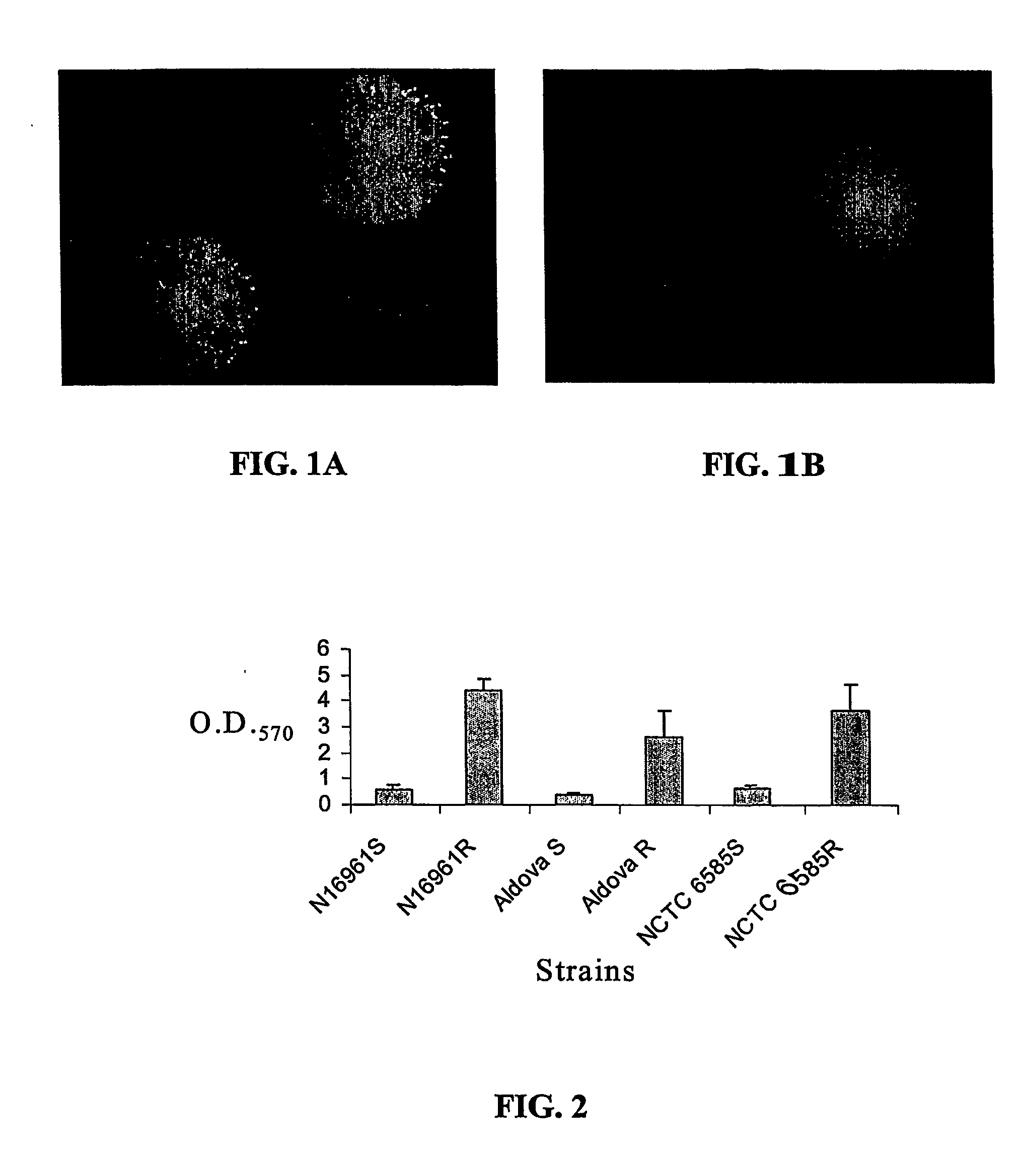 Method For Attentuating Virulence Of Microbial Pathogens And For Inhibiting Microbial Biofilm Formation