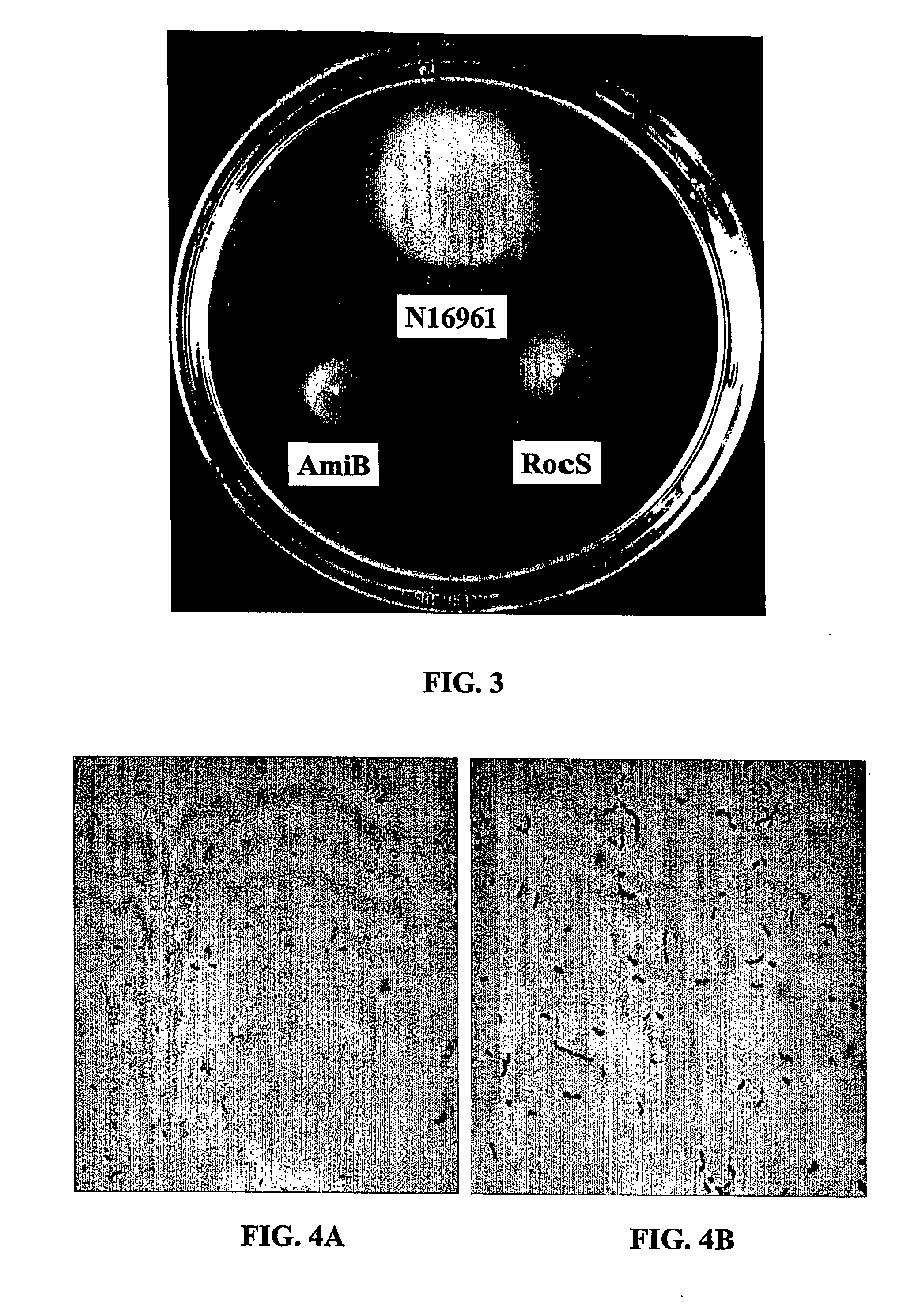 Method For Attentuating Virulence Of Microbial Pathogens And For Inhibiting Microbial Biofilm Formation