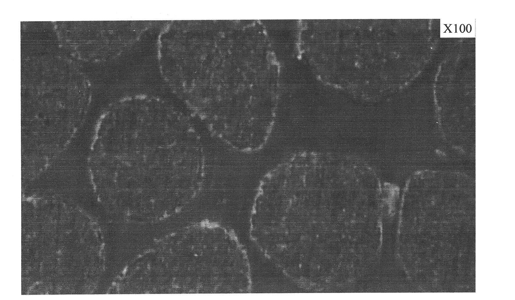 High-density high-strength fracturing propping agent for oil and gas wells and preparation method thereof