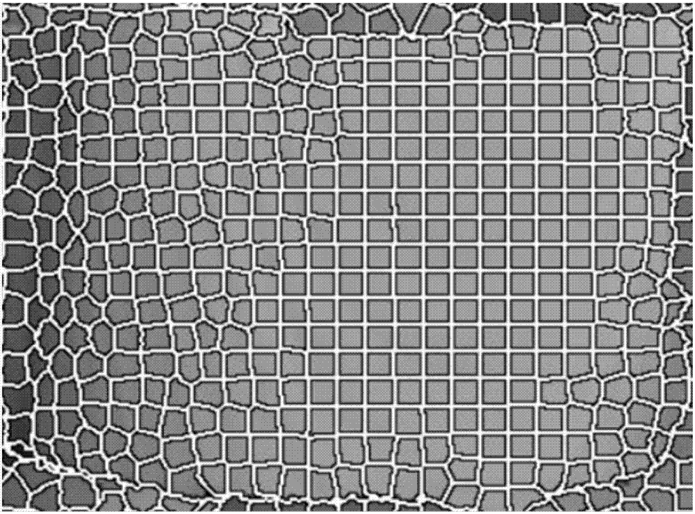 Block based overall elevation optimizing method for IMDSM