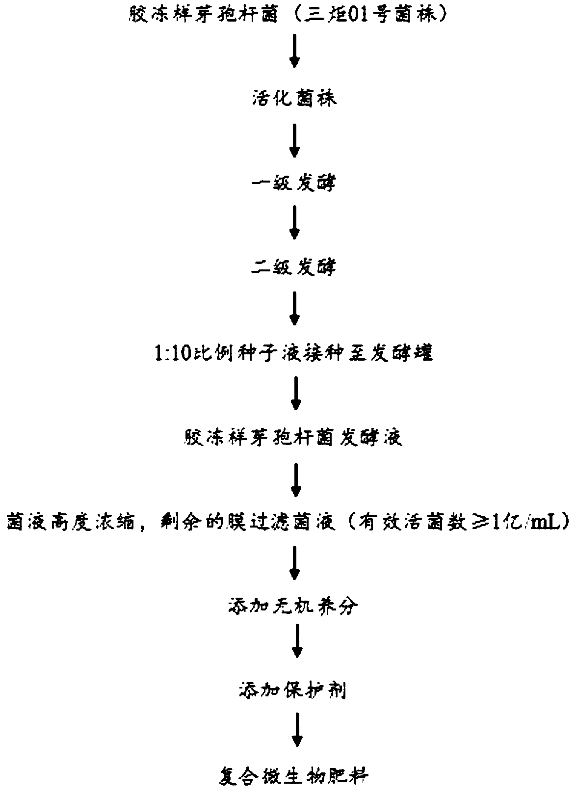 Microbial liquid manure and preparation method thereof