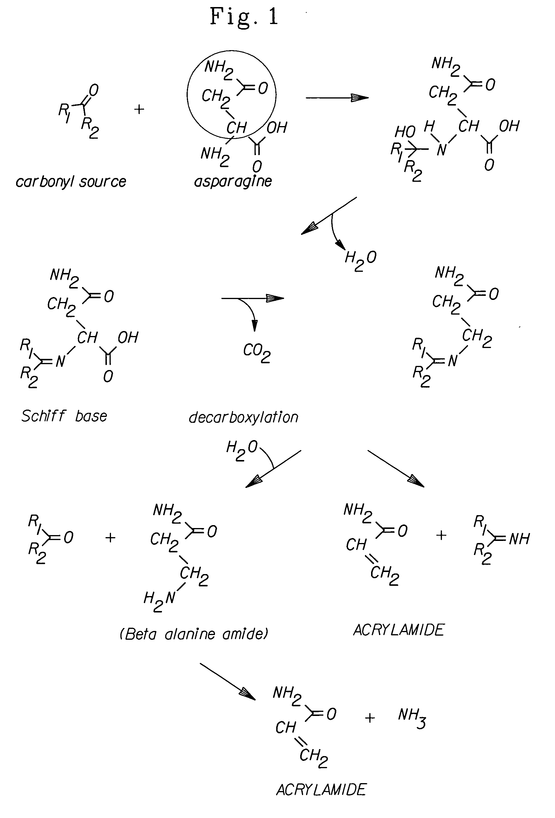 Methods for reducing asparagine in a dough food component using water activity