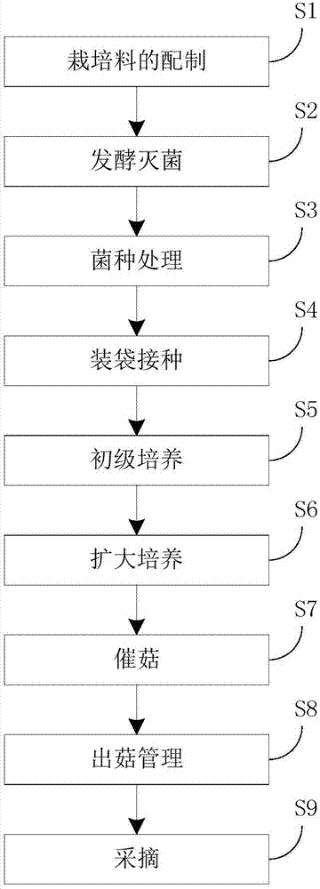 Shiitake mushroom culture method