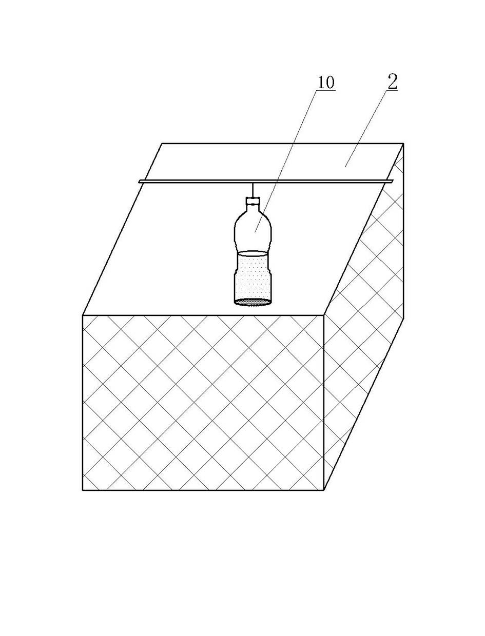 Method for cultivating stichopus japonicus seedlings in earth-pond net cage