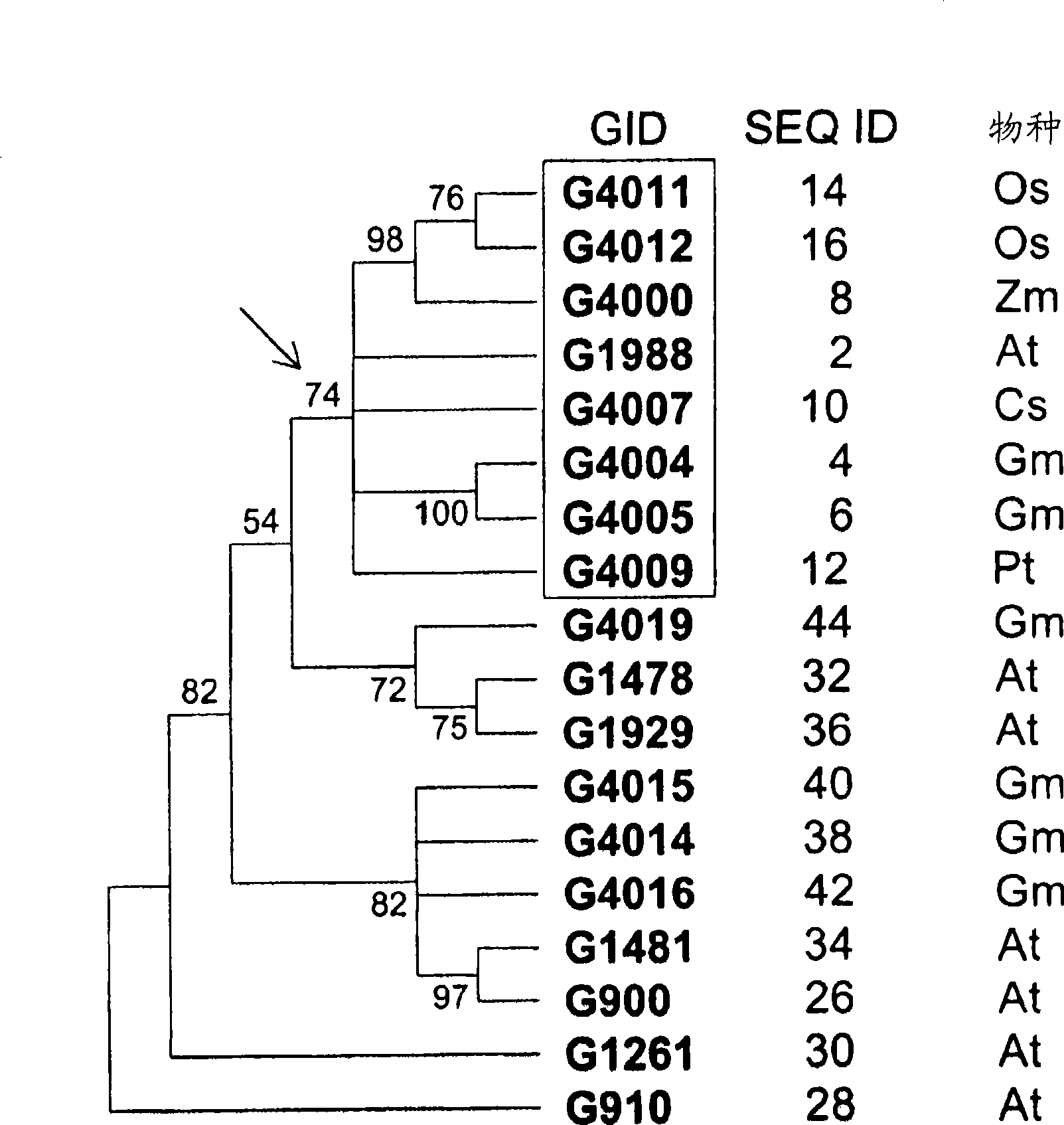 Improved yield and stress tolerance in transgenic plants