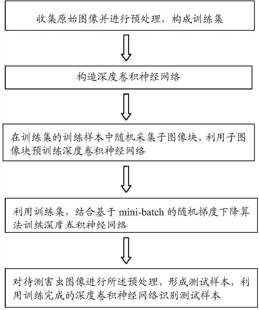 Automatic insect image identification method based on depth convolutional neural network