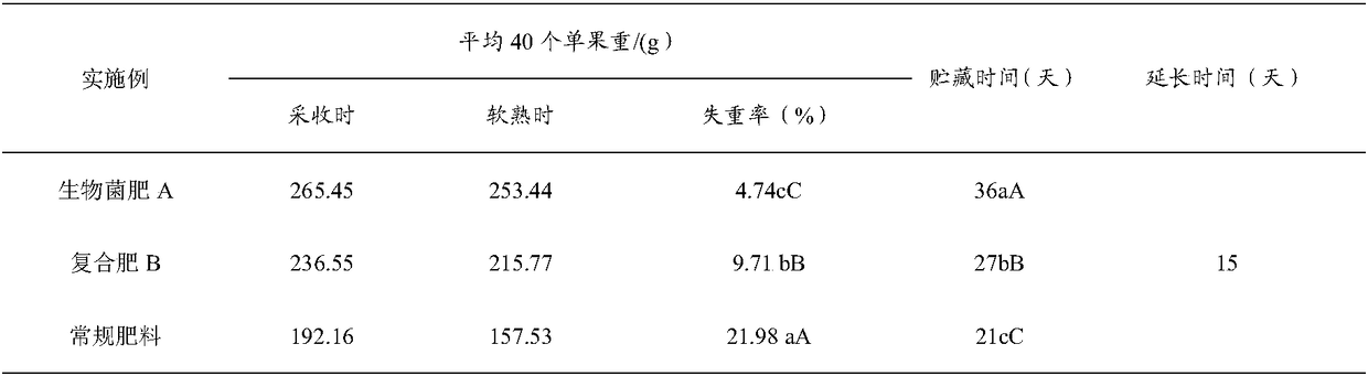 Efficient biological bacterial fertilizer for peach trees and preparation method and application thereof