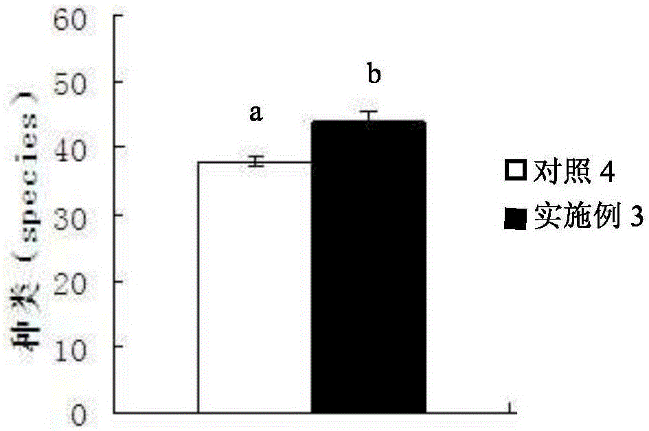 Method for producing green plum impregnated wine