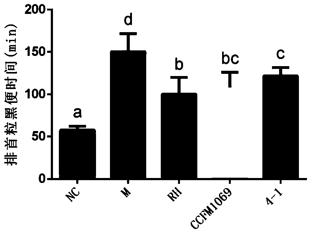 Lactobacillus paracasei CCFM1069 and application thereof