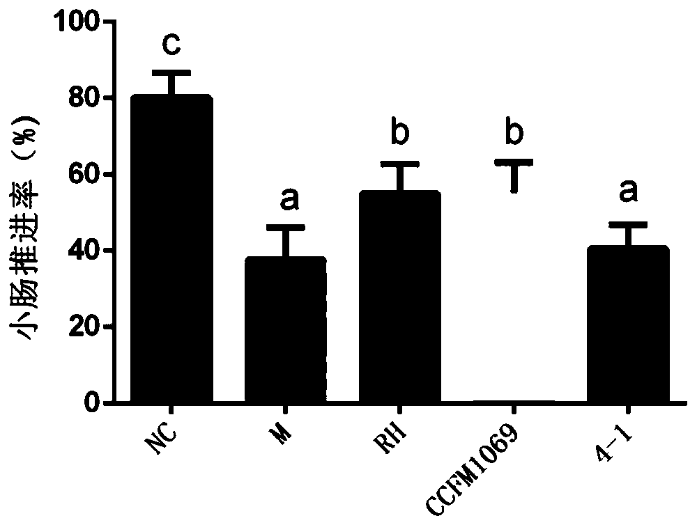 Lactobacillus paracasei CCFM1069 and application thereof