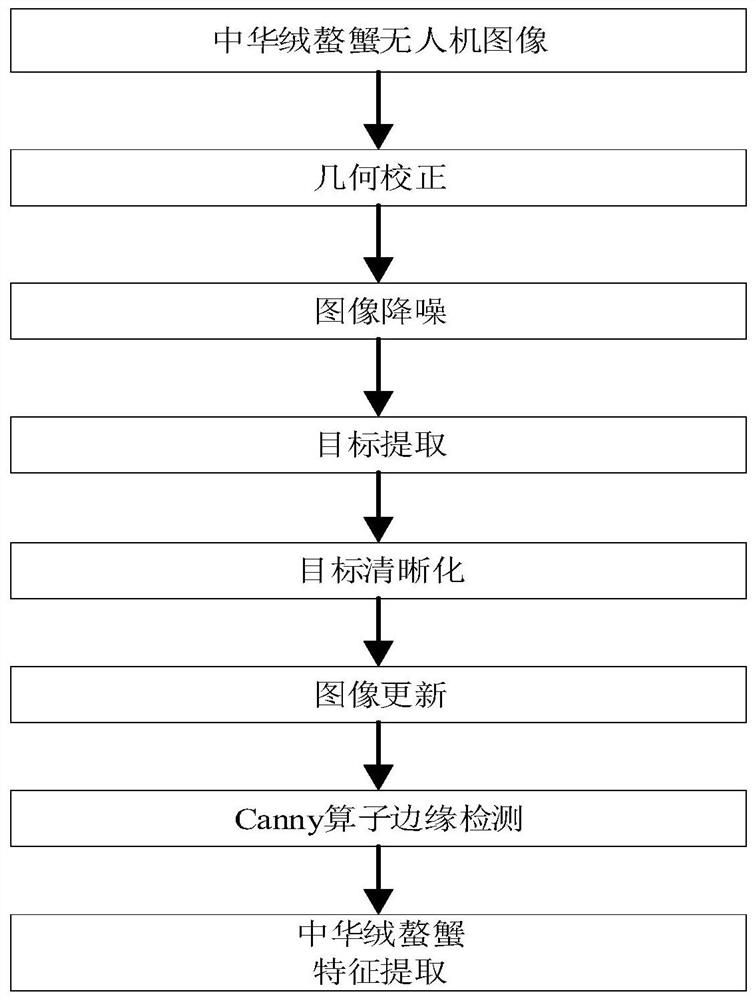 Eriocheir sinensis quality estimation method based on unmanned aerial vehicle image processing