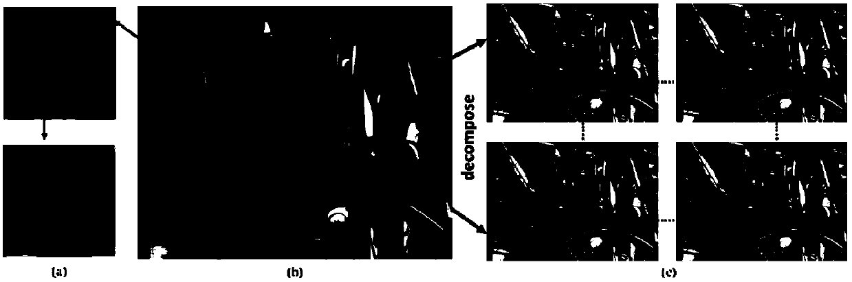 View map array division method