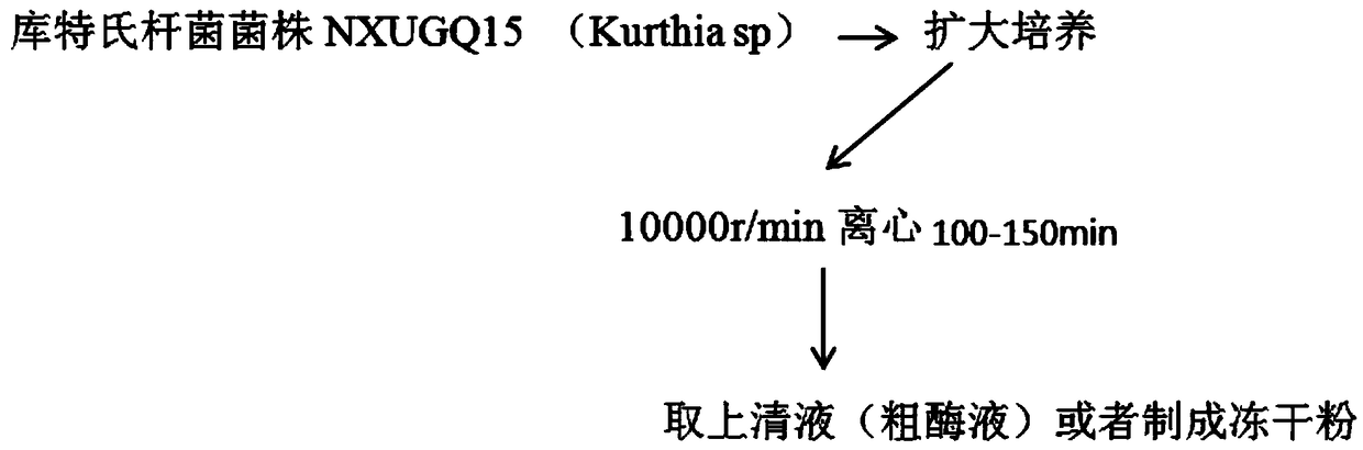 Method for preparing carotenoid degrading enzyme