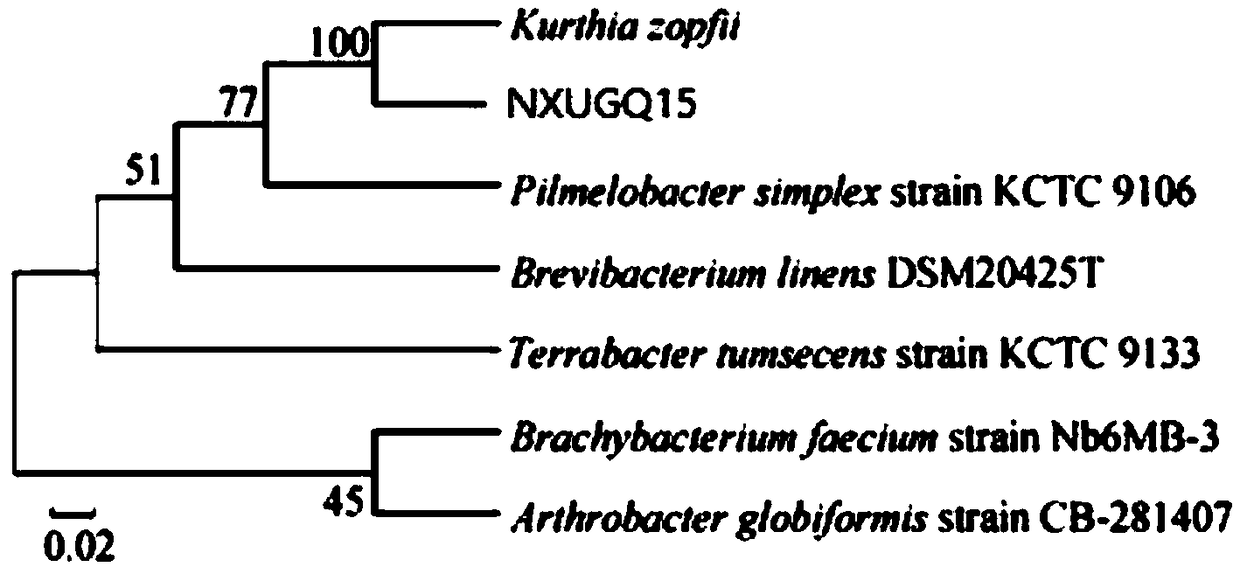 Method for preparing carotenoid degrading enzyme