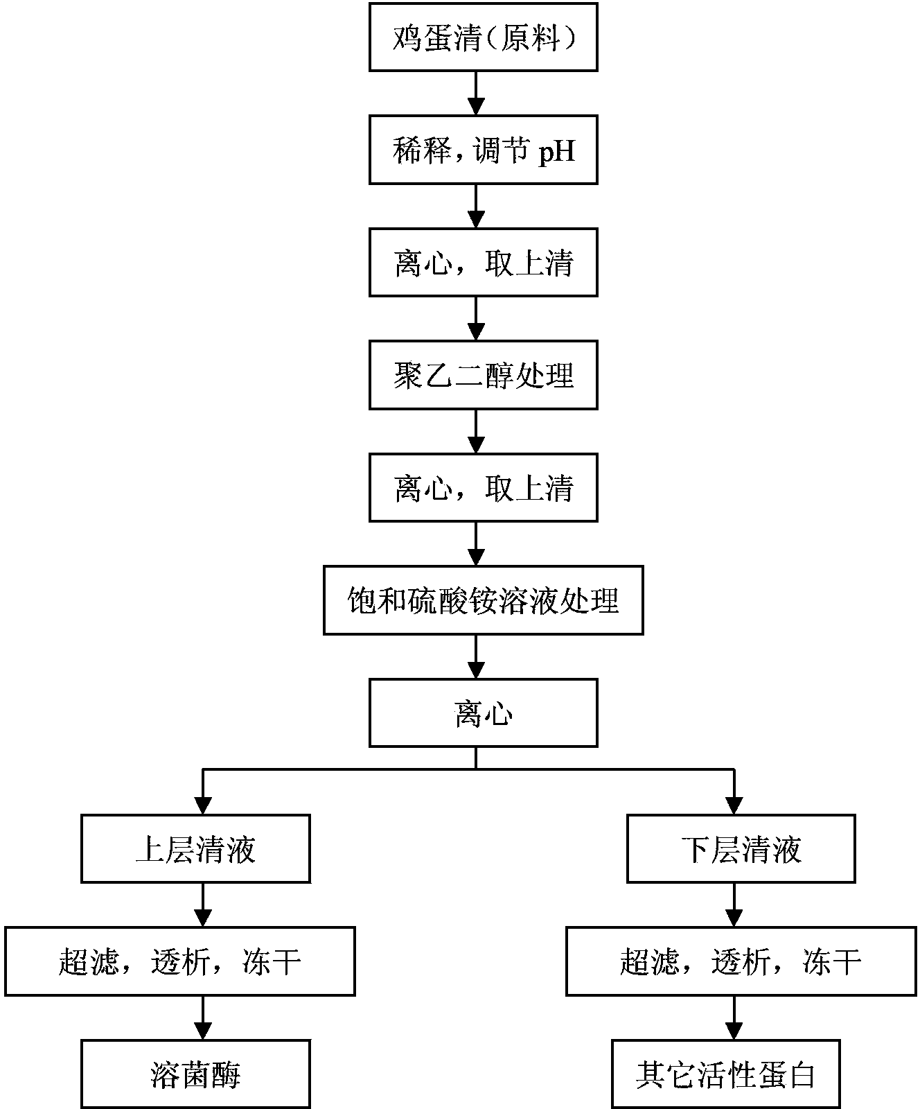 Method for preparing egg white lysozyme and active protein by adopting coseparation