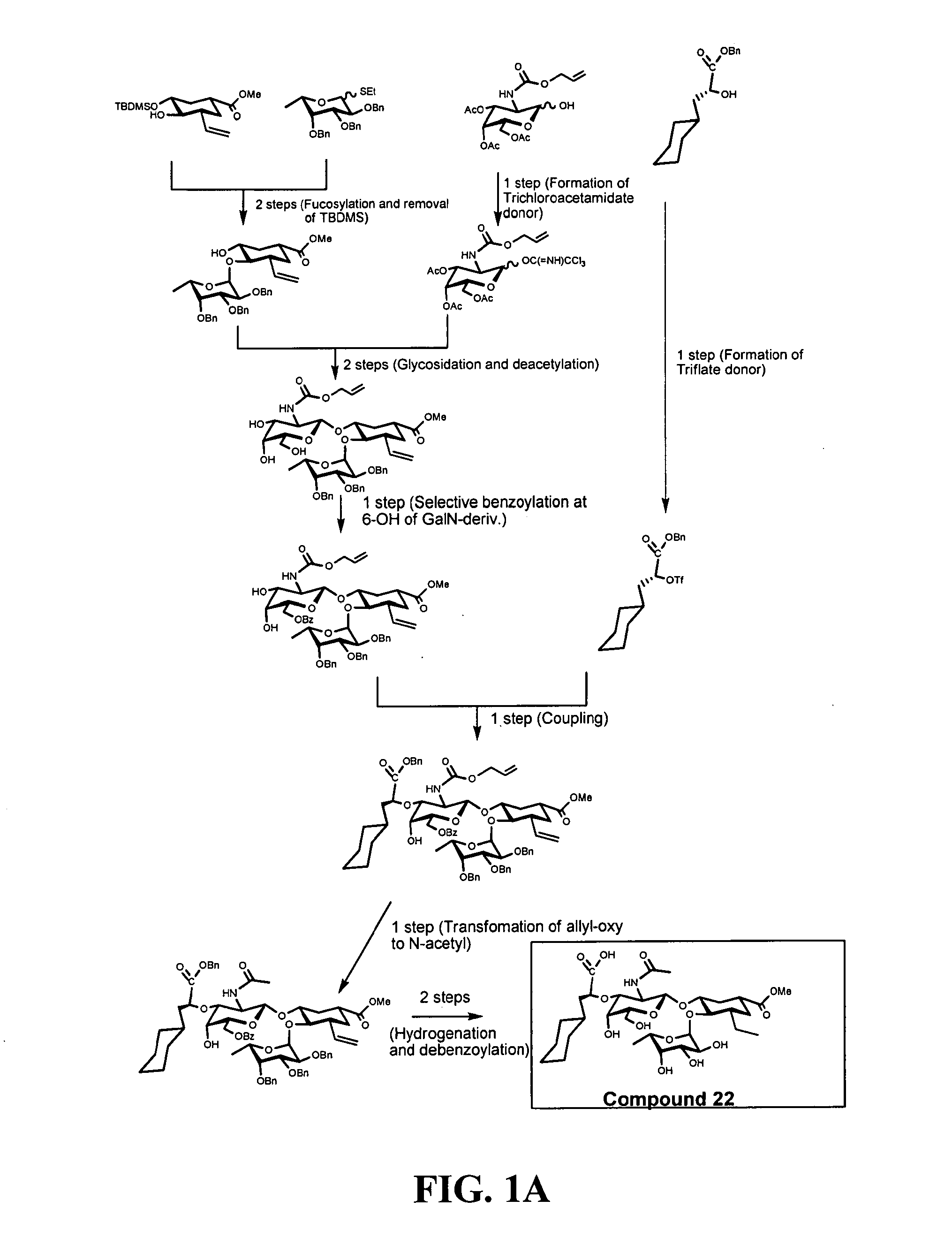 Methods and compositions for treating and/or preventing mucositis