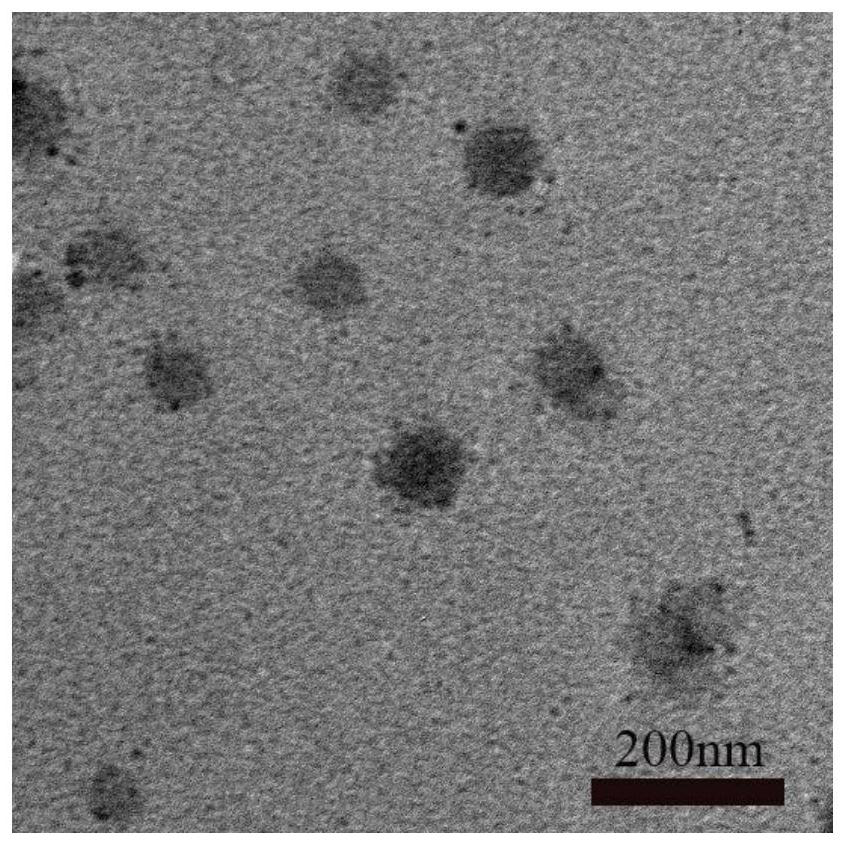 A kind of preparation method of the AIE polymer nanoparticle of amino group and polypeptide modification