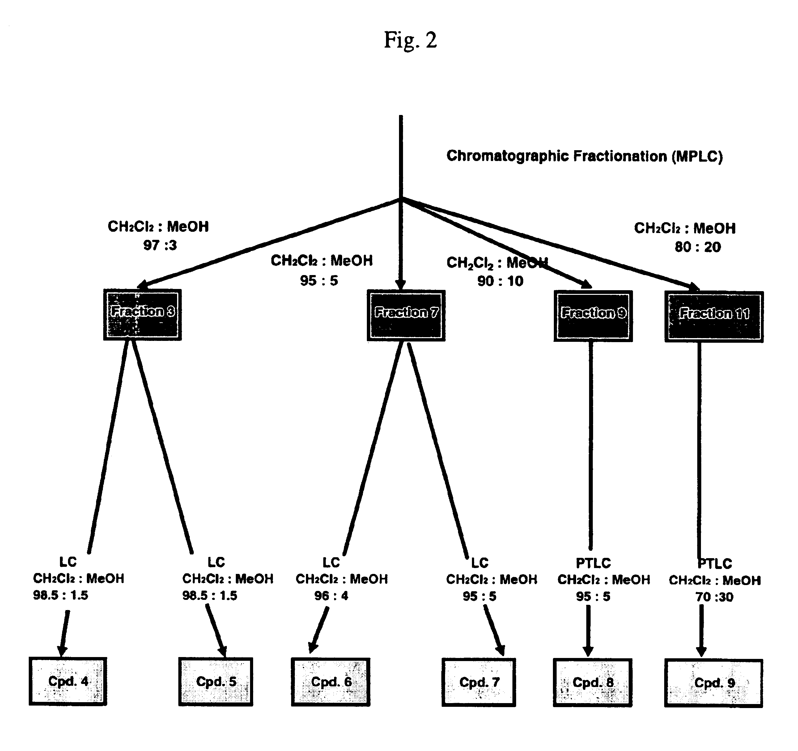 Compounds and compositions derived from olives and methods of the use thereof