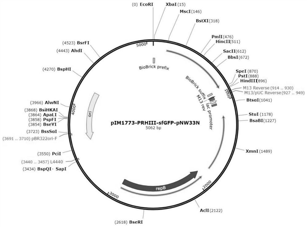 Application of bacillus cereus B-28 in aspect of repairing environment polluted by heavy metal Cr