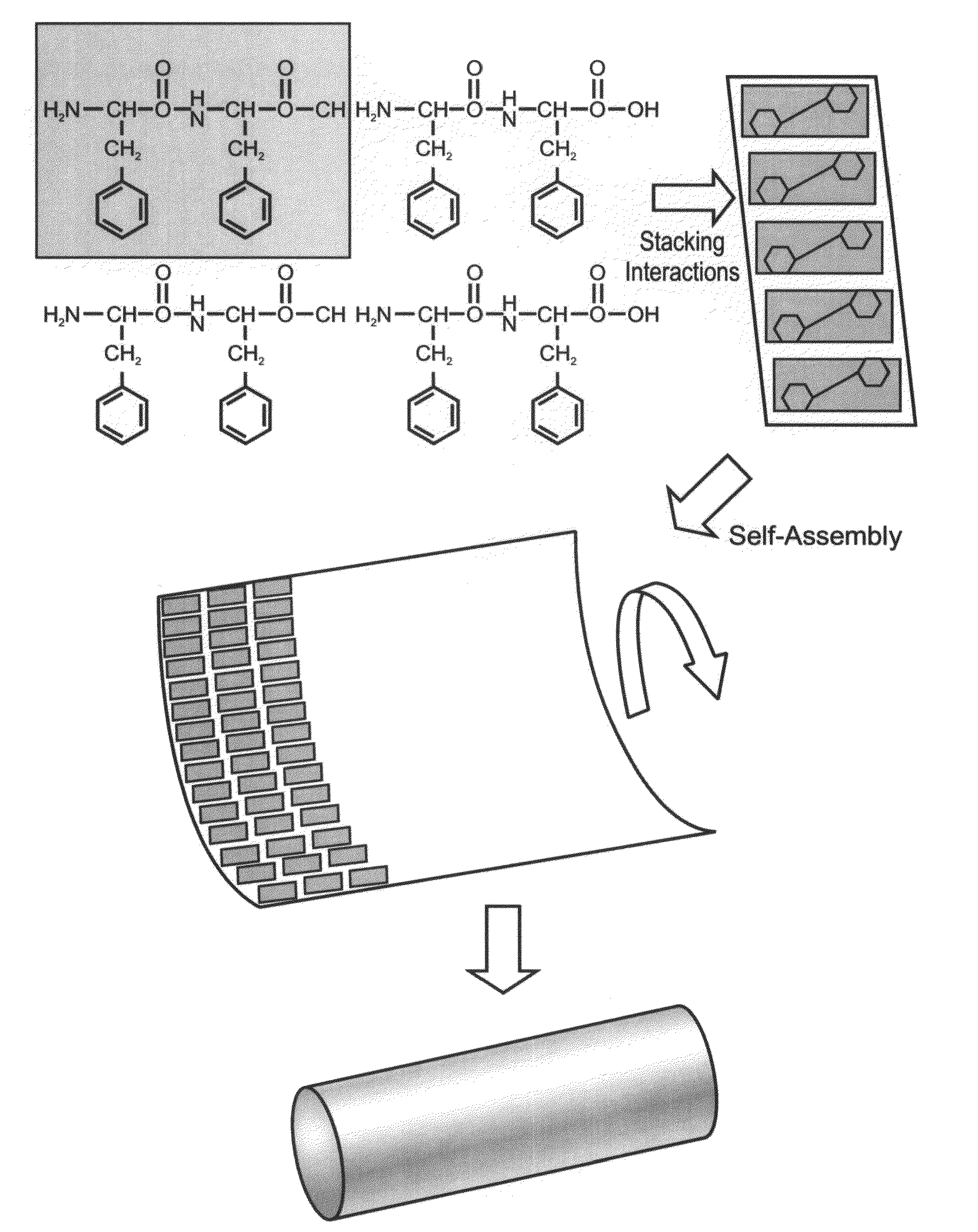 Peptide nanostructures and methods of generating and using the same