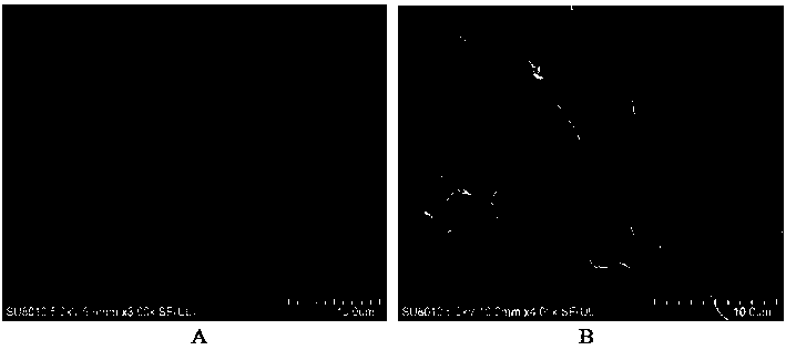 High-selectivity CO2 reduction photocatalyst, preparation method and application