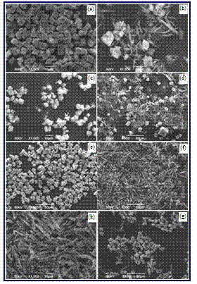 Method for preparing calcium carbonate powders of different structures and shapes