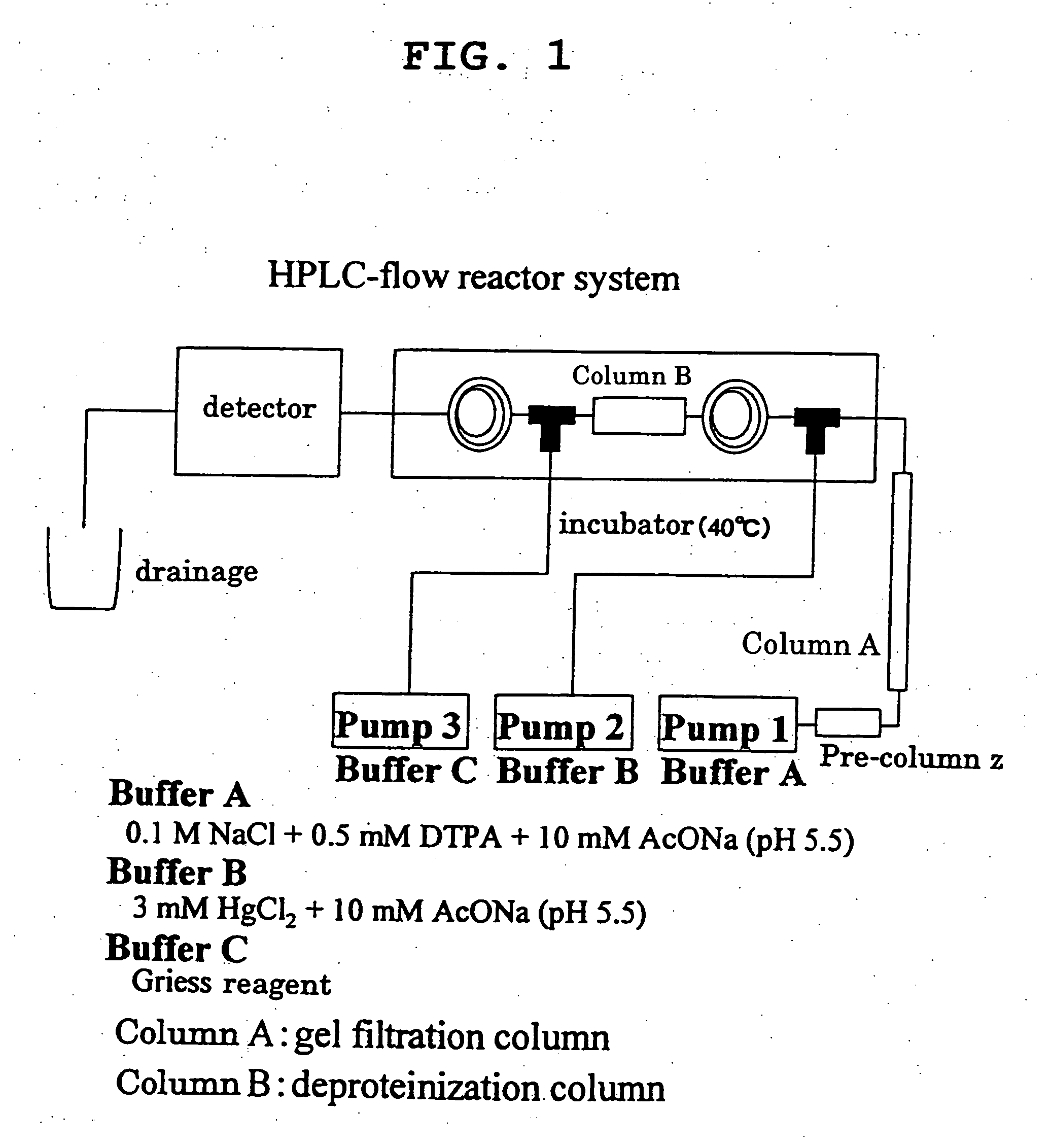 Albumin having enhanced antimicrobial activity