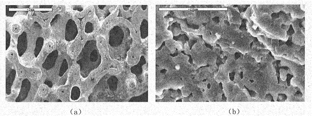 Double-scale silicon carbide foam ceramic material and preparation method thereof