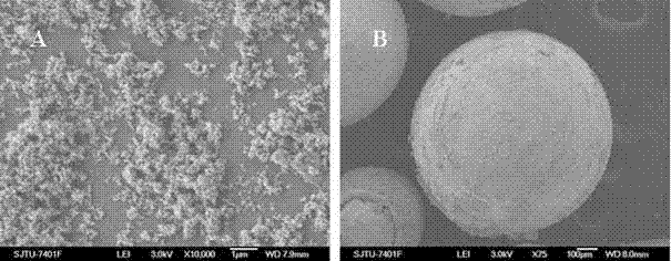 Growth hormone-containing nanometer medicament microspheres and preparation method thereof