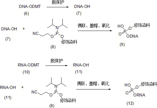 Nucleic acid probe preparation method