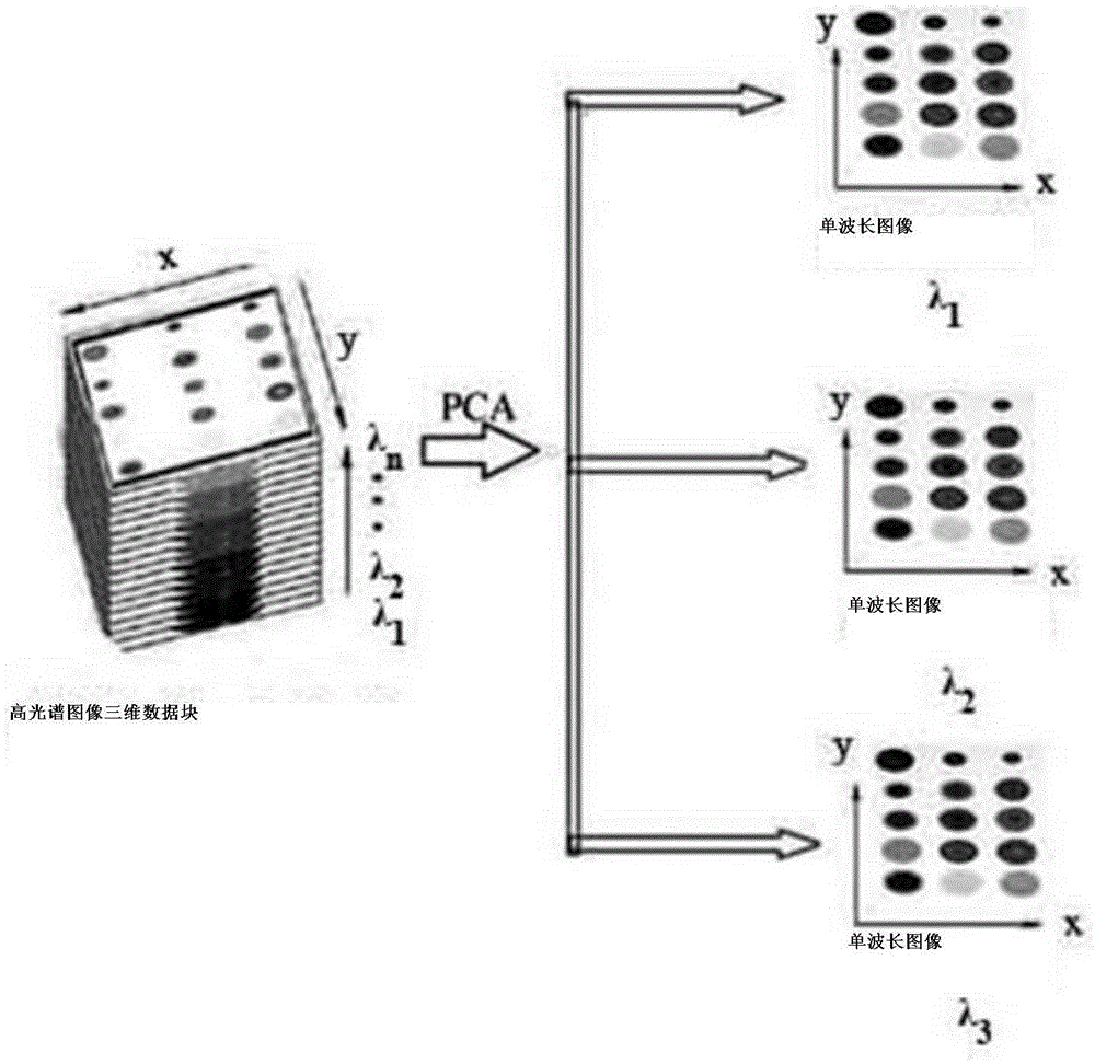 Slightly decayed fruit quick identification method based on smell spectral imaging technology