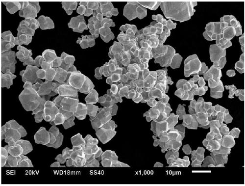 A method for preparing gradient porous tungsten