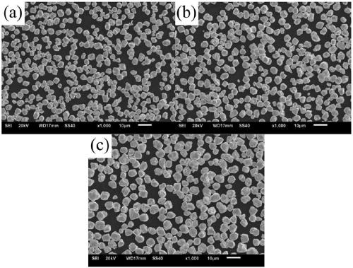 A method for preparing gradient porous tungsten